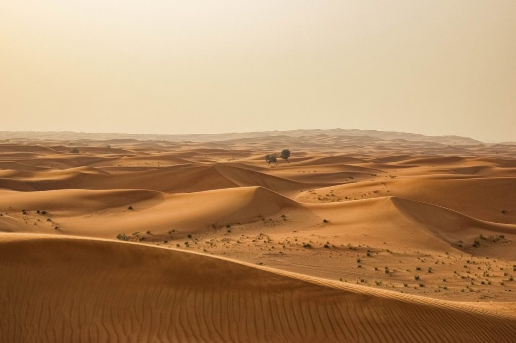 desert, sand, dry