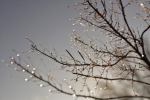 drop of water, frost, frozen