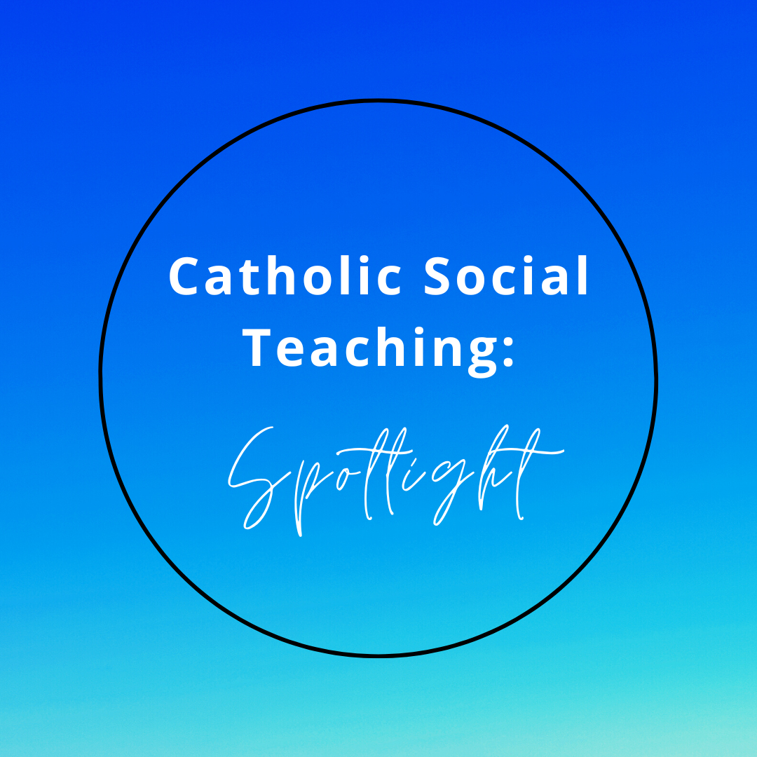 introduction to catholic social teaching - ppt download