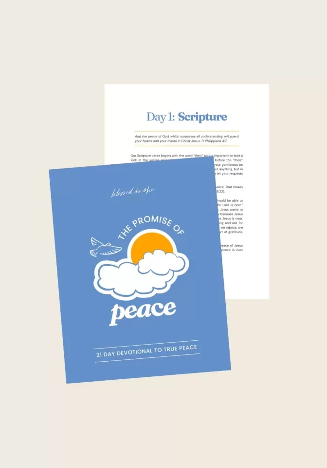 the-promise-of-peace-e-book-21-day-devotional-to-true-peace-books-digital-download-980906_1296x